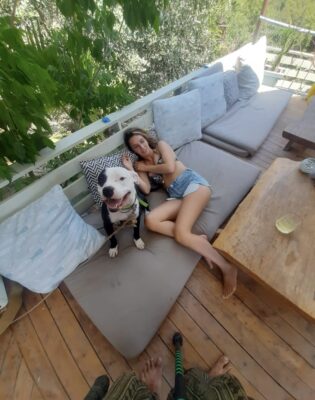 cute dog in kabak koyu turkey