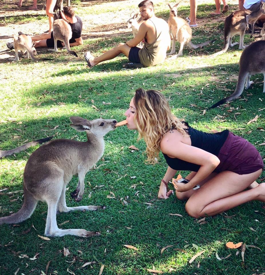 AUSSIE AUSSIE AUSSIE, Oi Oi Oi: Working Holiday in Paradise!