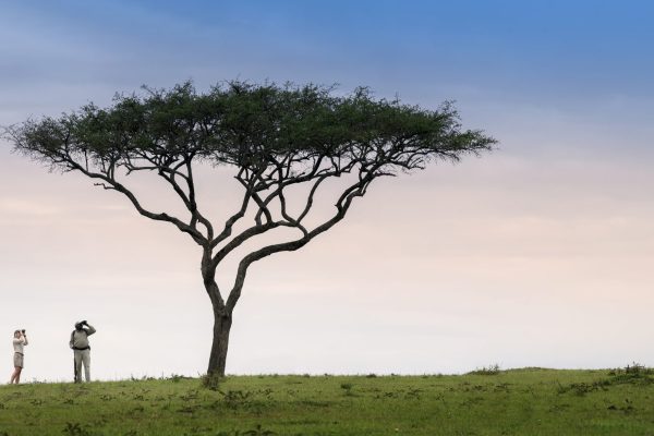 Tanzania-Kleins-Camp-Experience-Walking-safari-panorama-1 Tanzania-Kleins-Camp-Experience-Walking-safari-panorama-1