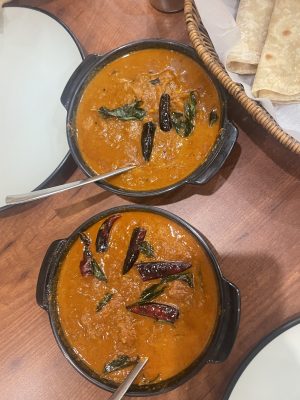 solo travel in india food
